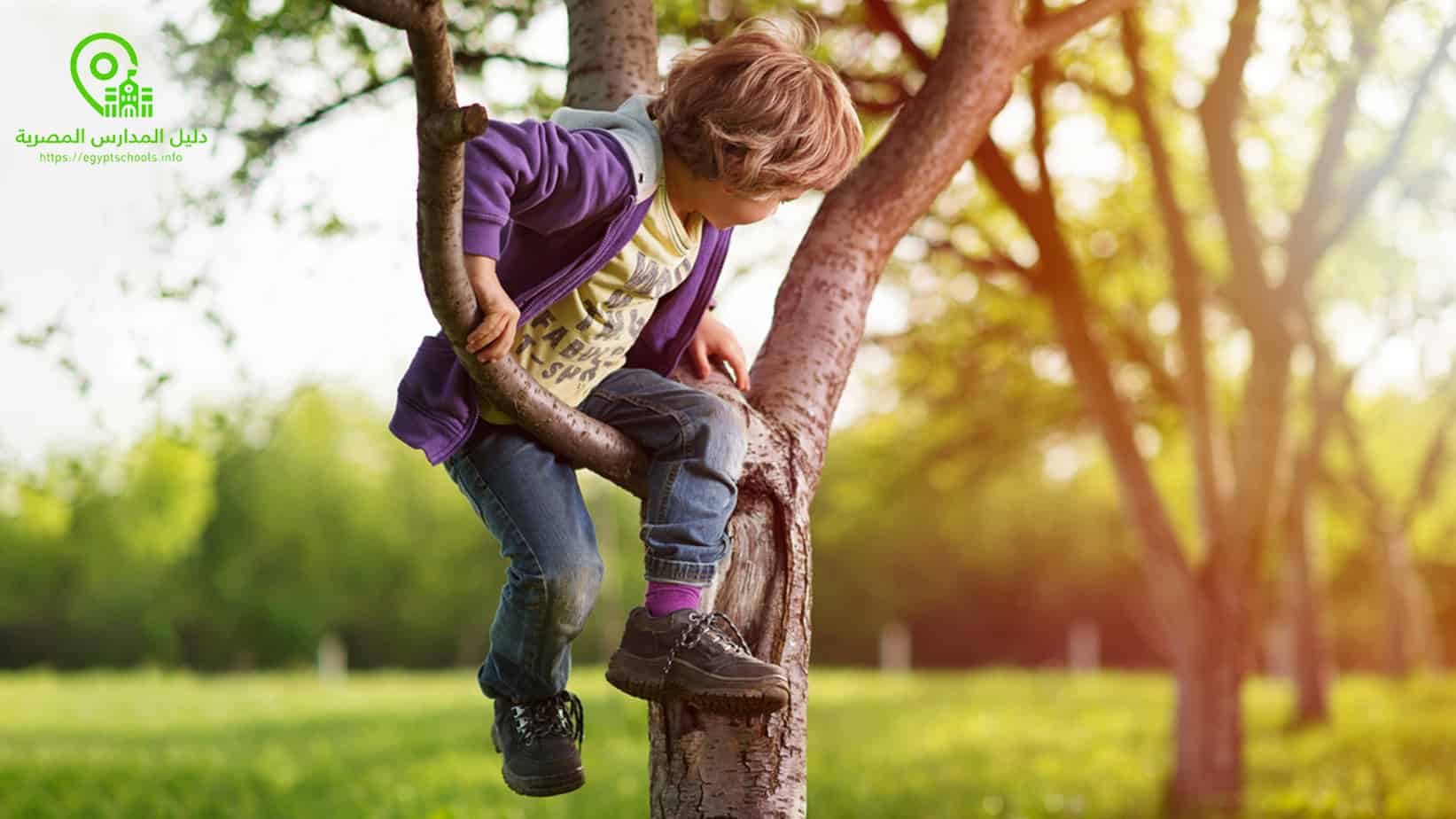 رياضة تسلق الأشجار للأطفال 4 سنوات